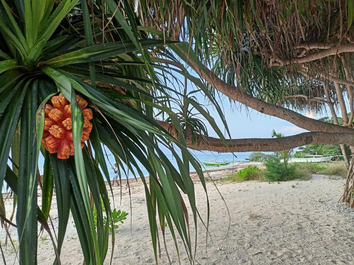 Villa Gilimakyah Gili Air Buitenkant foto